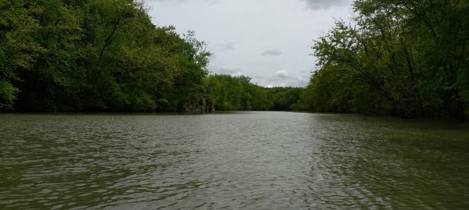 Exploring the elbow by dinghy