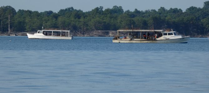 Anchored west of Gwynn Island, in the Piankatank River