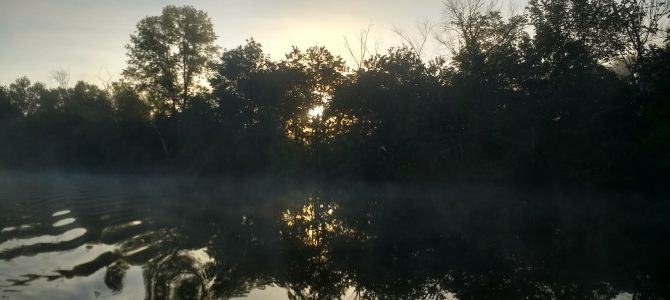 Foggy morning