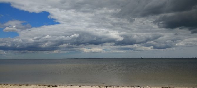 A day in Barnegat