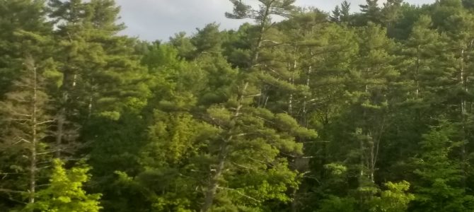 More good weather