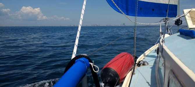 Back in the ocean